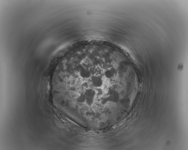 X0000094351063200711091447