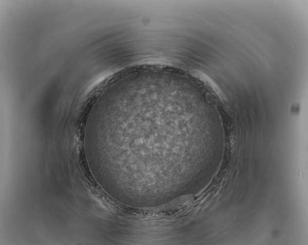 X0000094351064200711091447