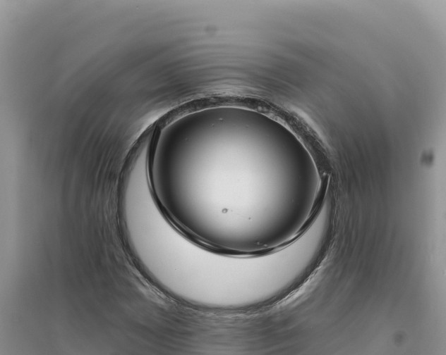 X0000094351065200711091447