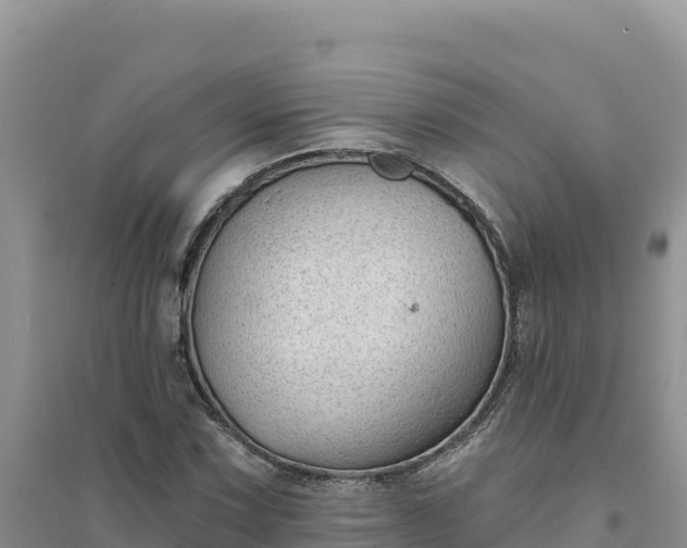 X0000094351067200711091447