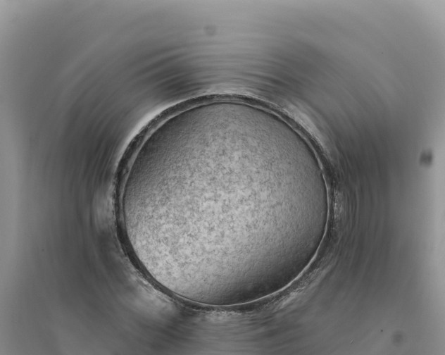 X0000094351068200711091447