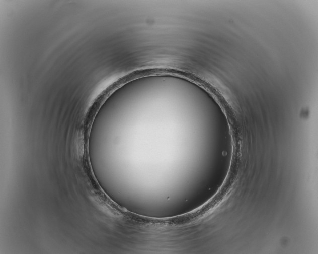 X0000094351069200711091447