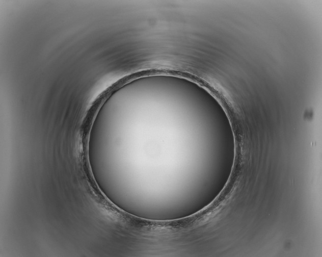 X0000094351070200711091447