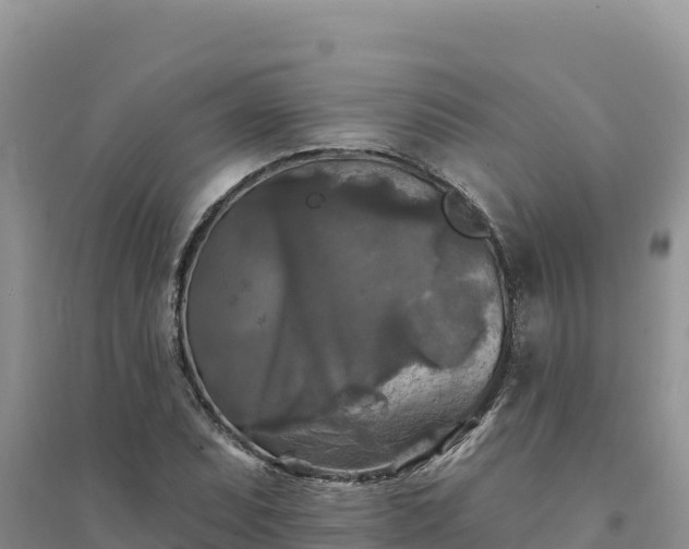 X0000094351071200711091447