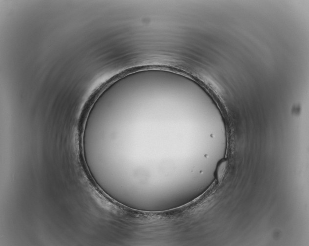 X0000094351072200711091447