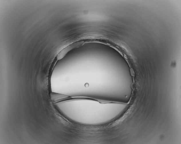 X0000094351073200711091447