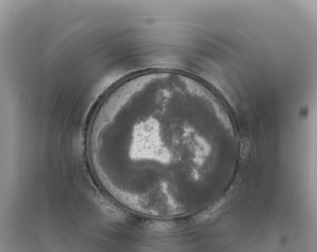 X0000094351074200711091447