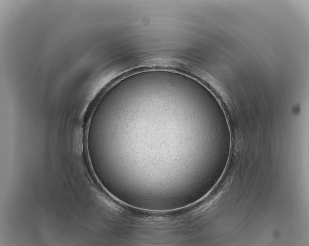 X0000094351075200711091447