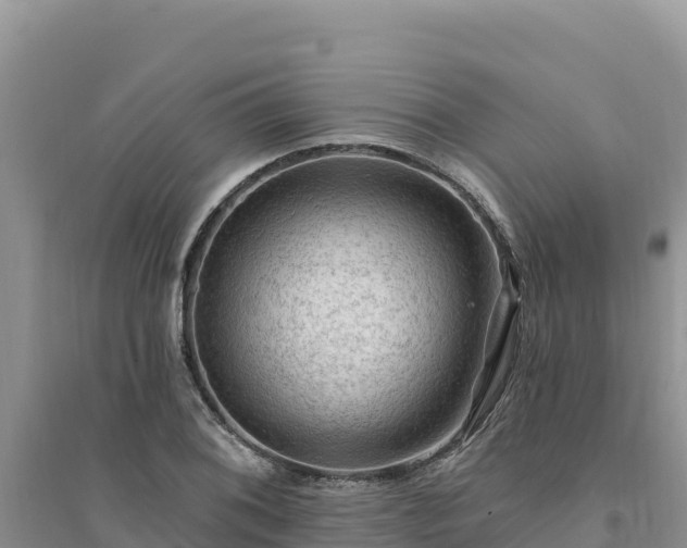 X0000094351076200711091447