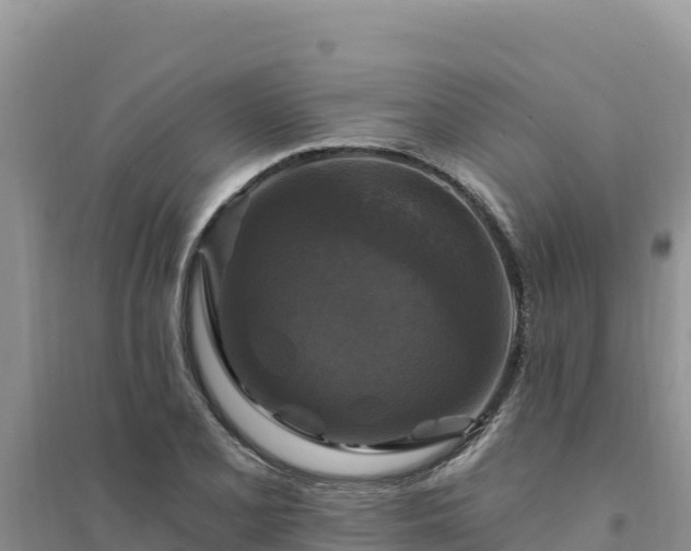 X0000094351077200711091447