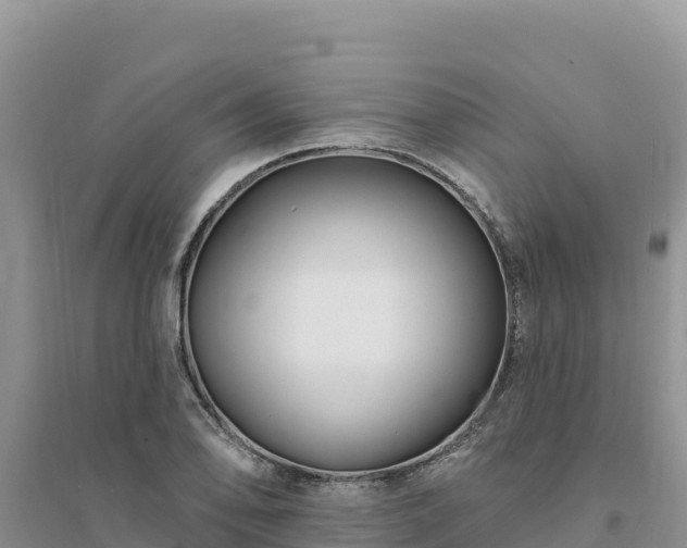 X0000094351078200711091447