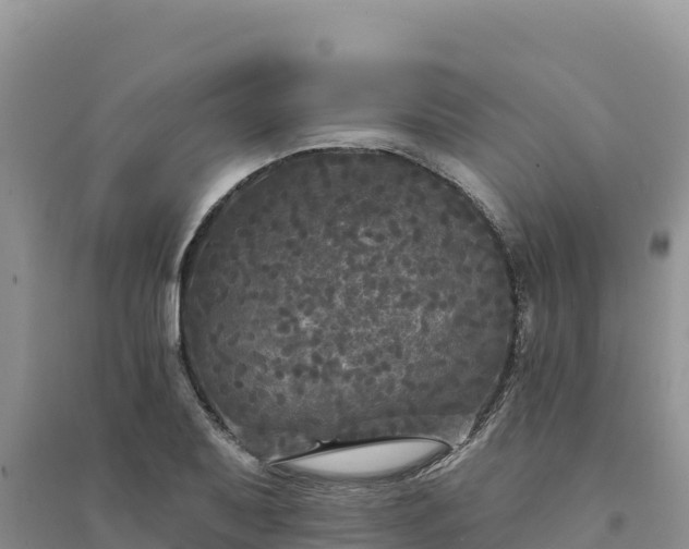 X0000094351079200711091447