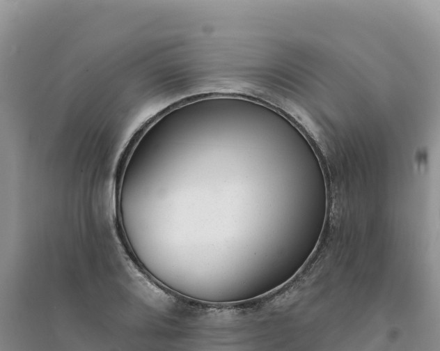 X0000094351080200711091447