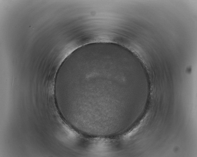 X0000094351081200711091447