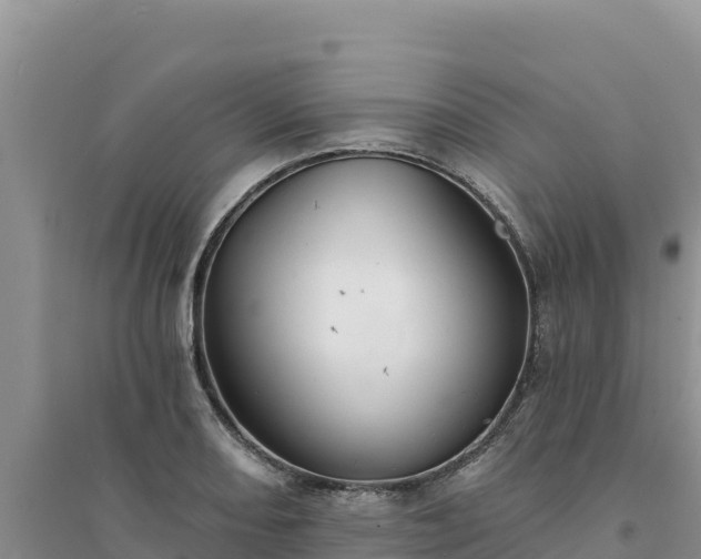 X0000094351082200711091447