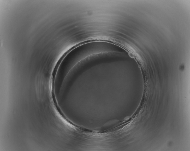 X0000094351084200711091446