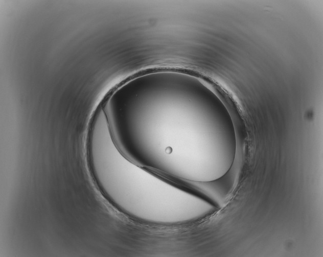 X0000094351085200711091446