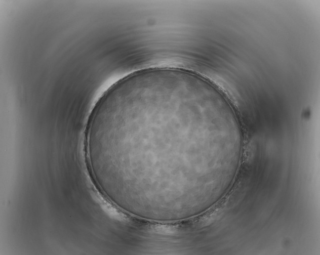 X0000094351086200711091446