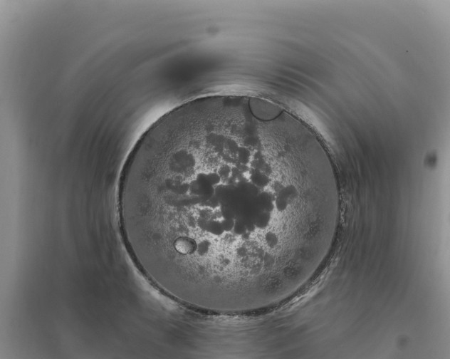 X0000094351087200711091446