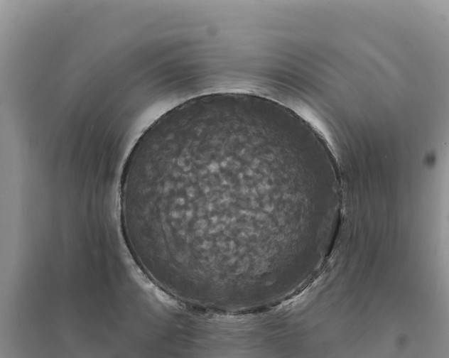 X0000094351088200711091446