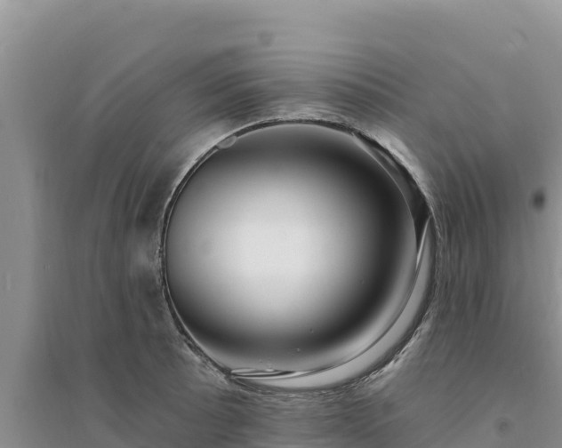 X0000094351089200711091446