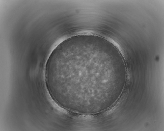 X0000094351090200711091446