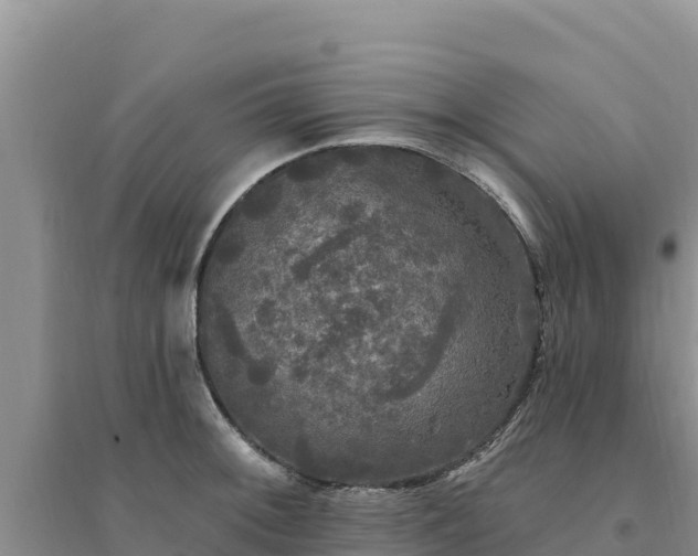 X0000094351092200711091446