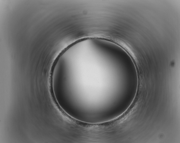 X0000094351093200711091446