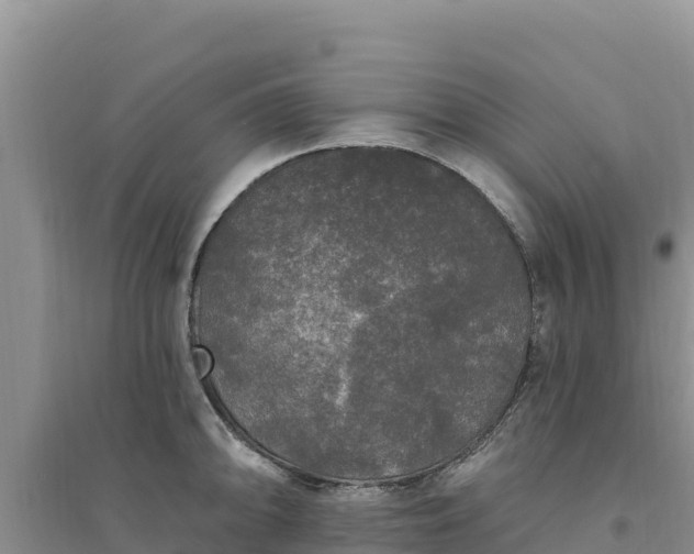 X0000094351094200711091446