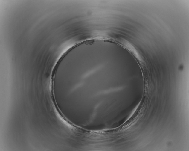 X0000094351095200711091446