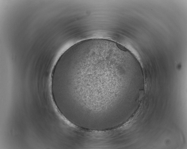 X0000094351096200711091446