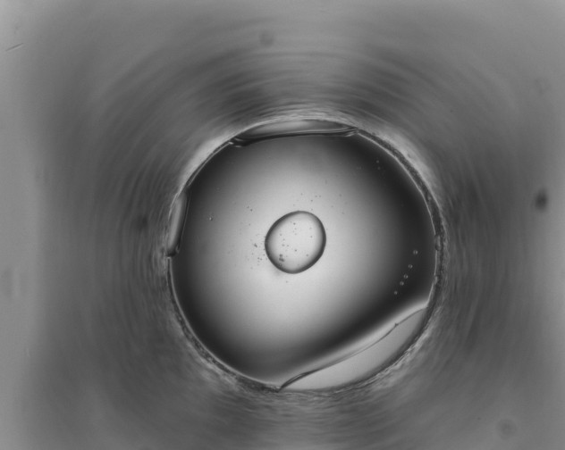 X0000094351097200711091446