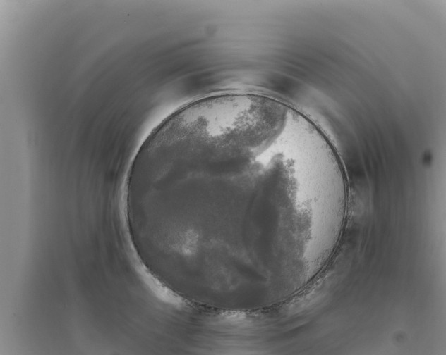 X0000094351098200711091446