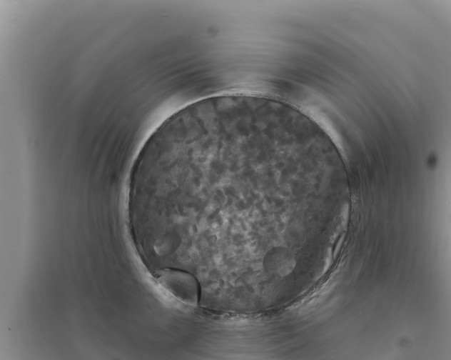 X0000094351099200711091446