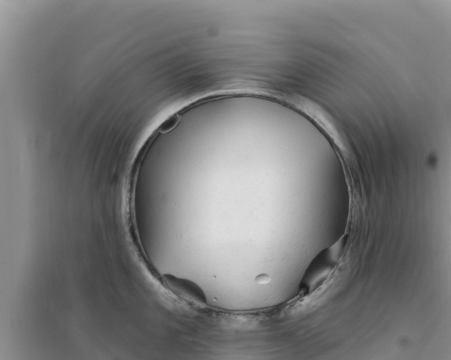 X0000094351101200711091446