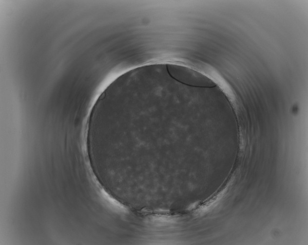 X0000094351102200711091446