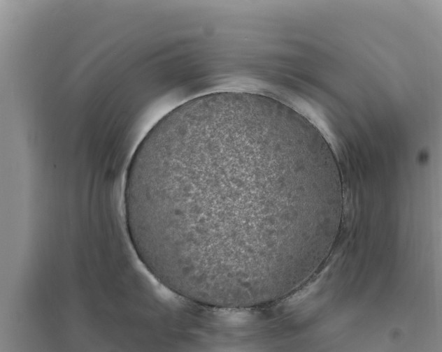 X0000094351103200711091446