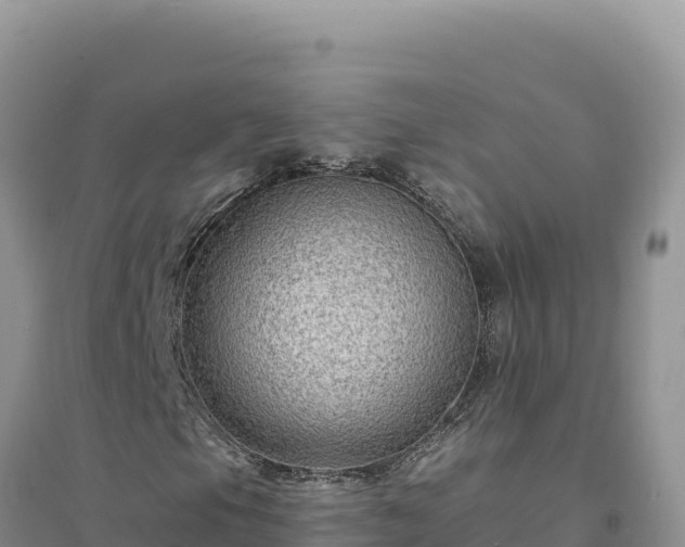 X0000094351105200711091445