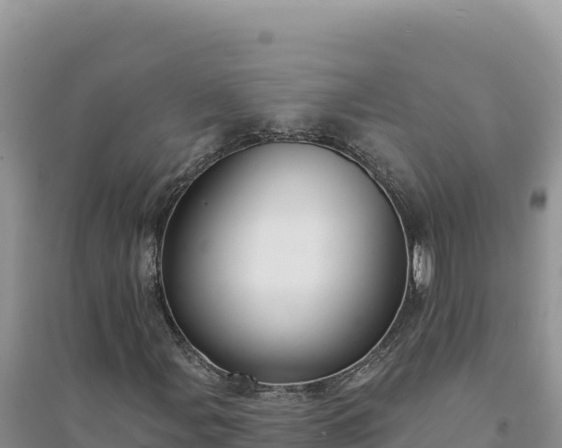 X0000094351107200711091445