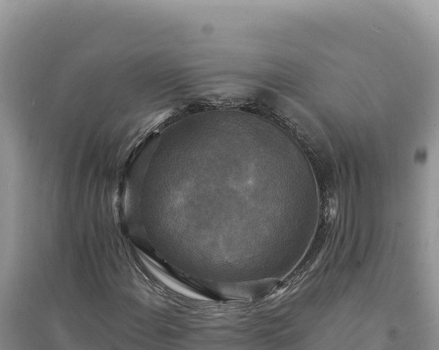 X0000094351108200711091445