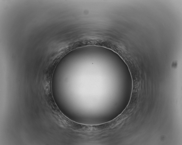 X0000094351109200711091445