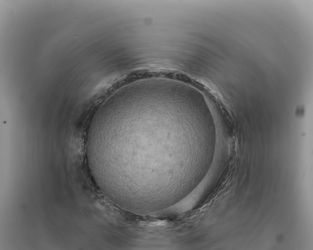 X0000094351110200711091445