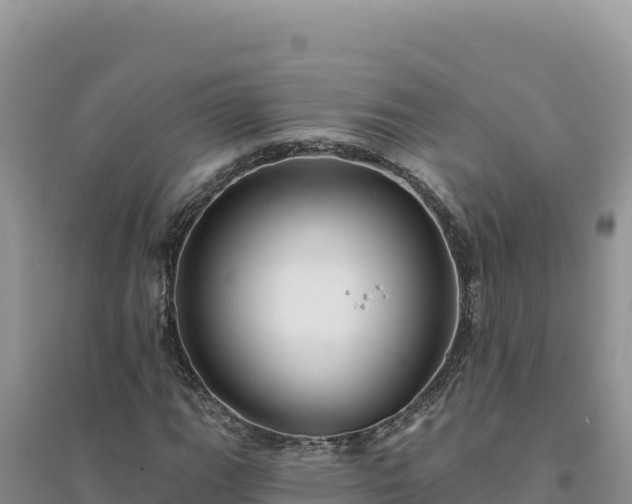 X0000094351111200711091445