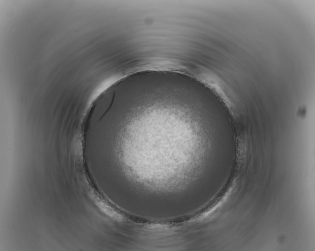 X0000094351114200711091446