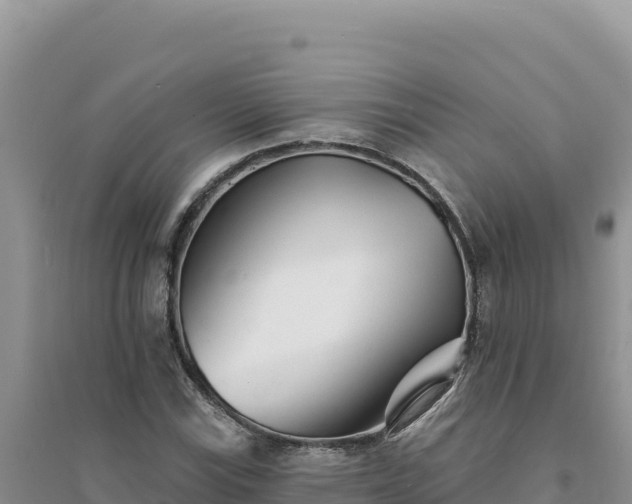 X0000094351115200711091446