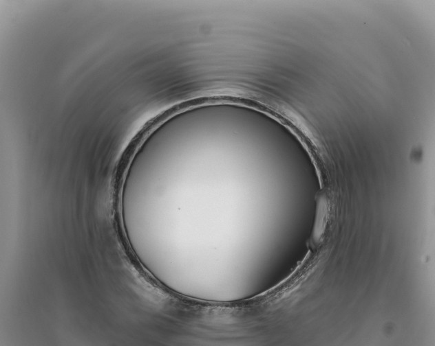 X0000094351116200711091446