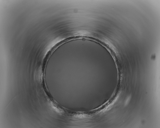 X0000094351117200711091446