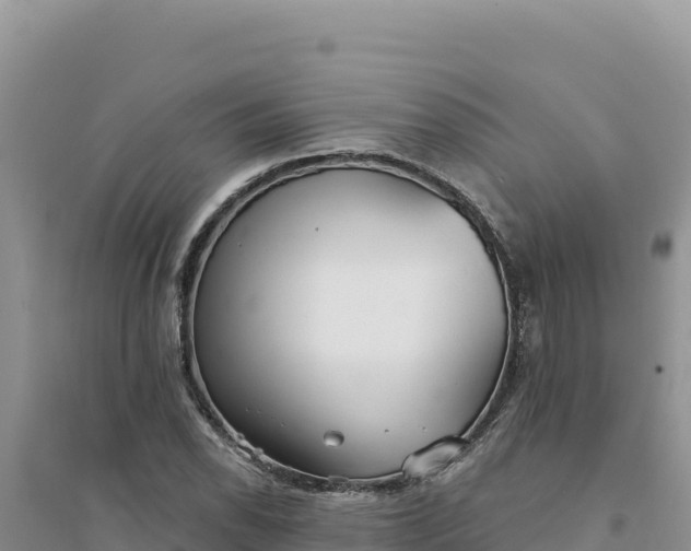 X0000094351118200711091446