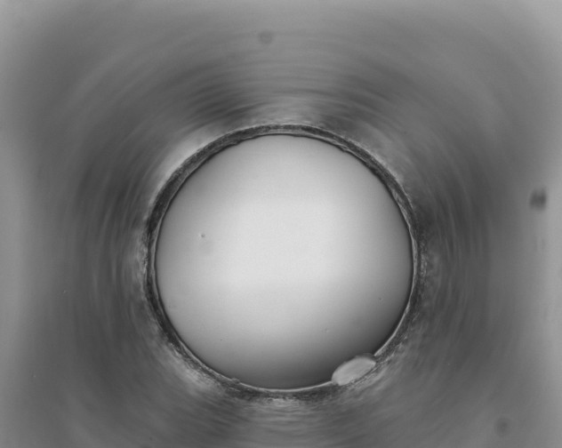 X0000094351119200711091446