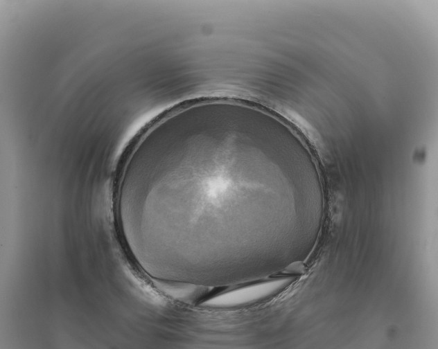 X0000094351120200711091446